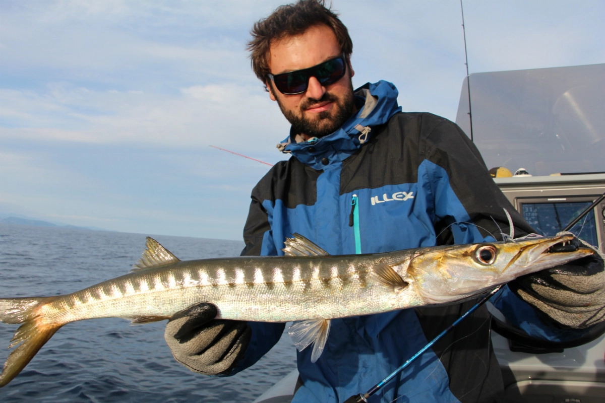 Pêche du barracuda en méditerranée