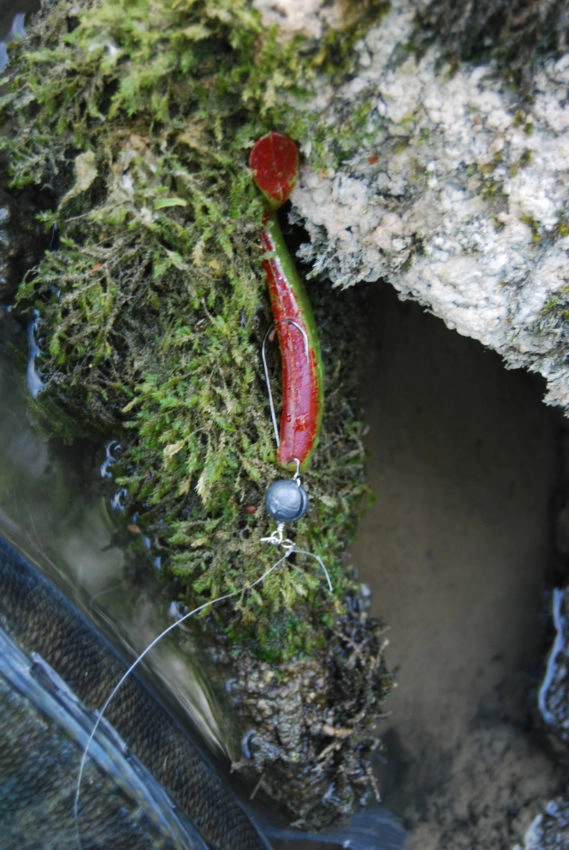 Pêche des carnassiers au leurre souple