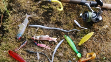 Pêche des carnassiers au leurre souple