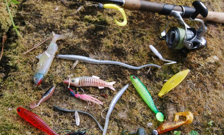 Pêche des carnassiers au leurre souple