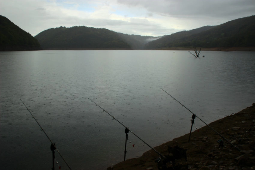 Pêche à la carpe en automne