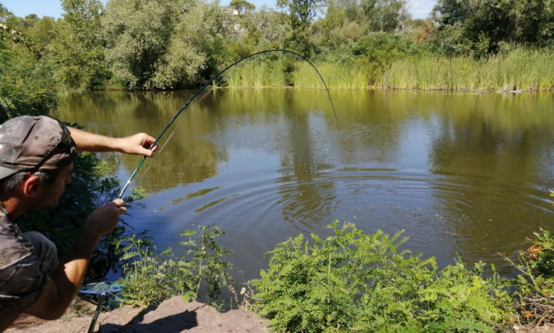 Pêche de la carpe en flystalk