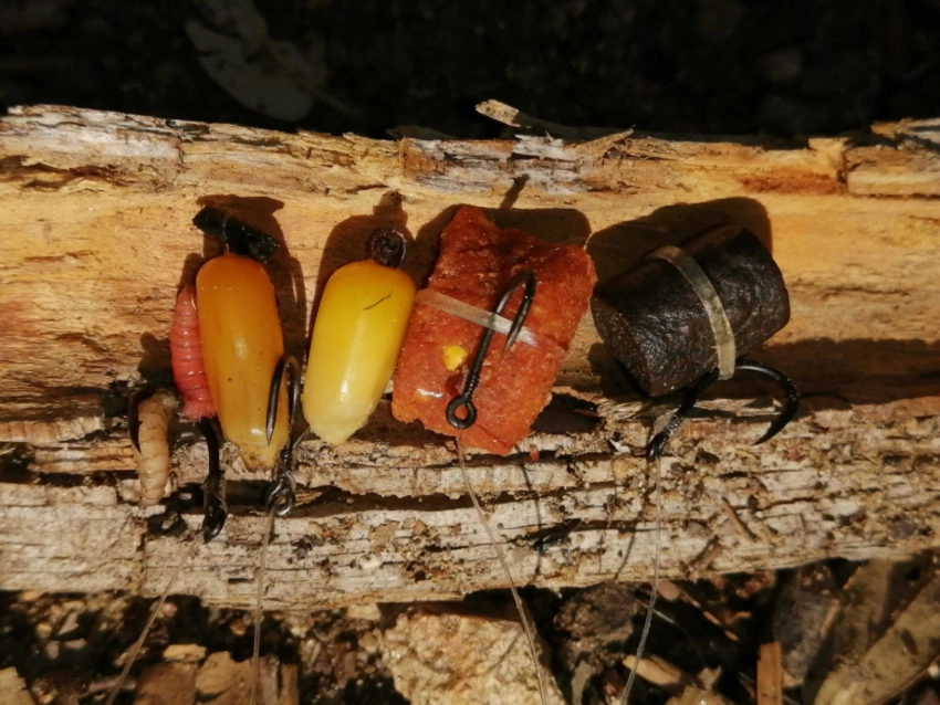 Pêche de la carpe en flystalk