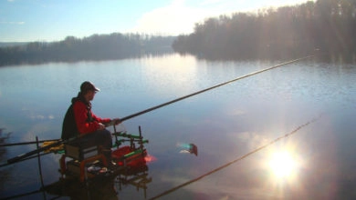 Pêche au coup en fonction de la météo