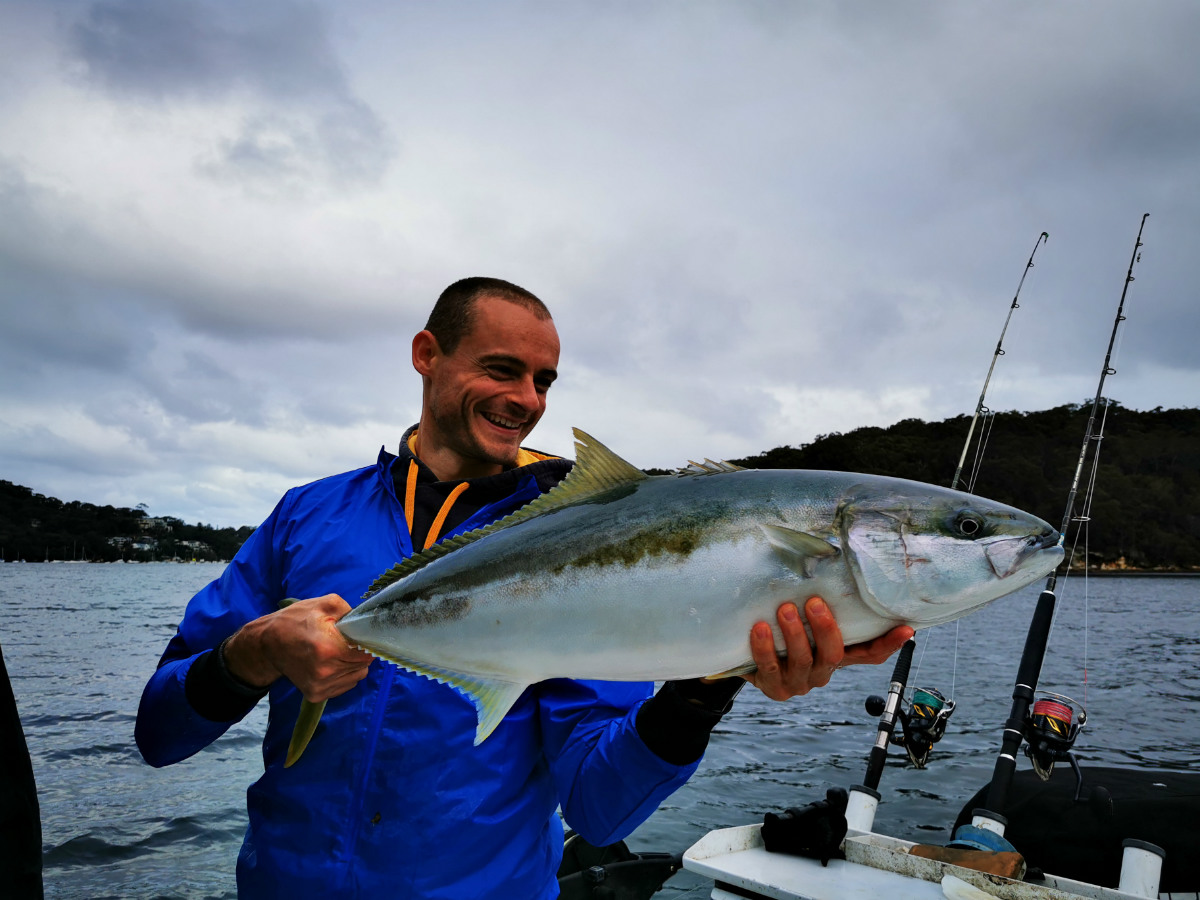 Pêche du Yellowtail kingfish en Australie