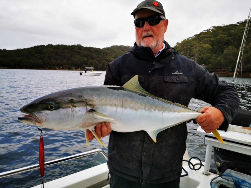 Pêche du Yellowtail kingfish en Australie