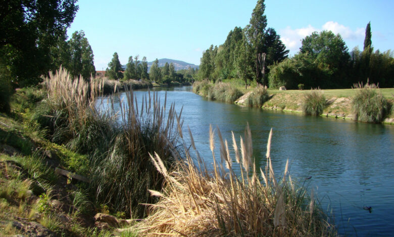 Pêche au coup en rivière moyenne