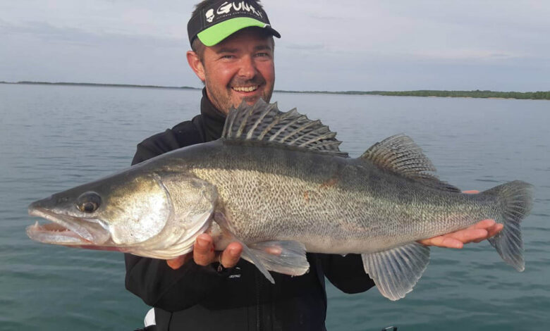 Pêche des carnassiers au drop shot et drop vif