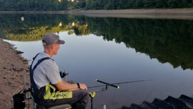Pêche au feeder en lac de barrage