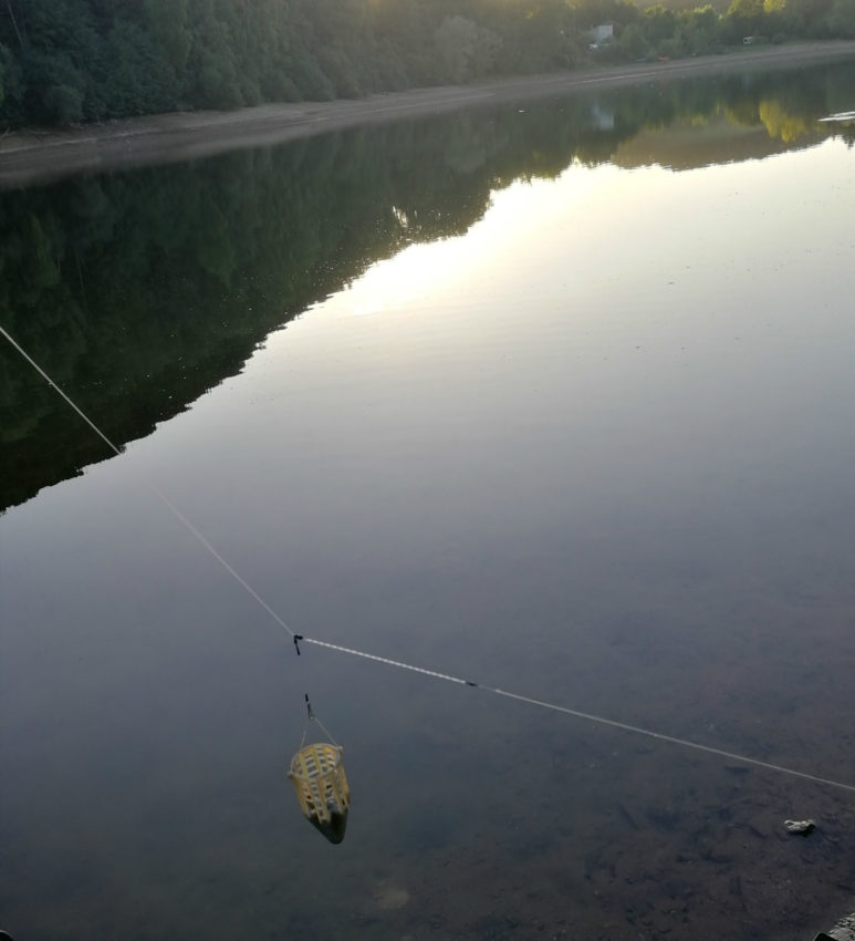 Pêche au feeder en lac de barrage