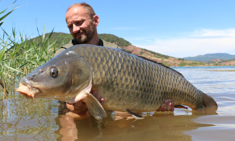 Choisir sa destination pour pêcher la carpe