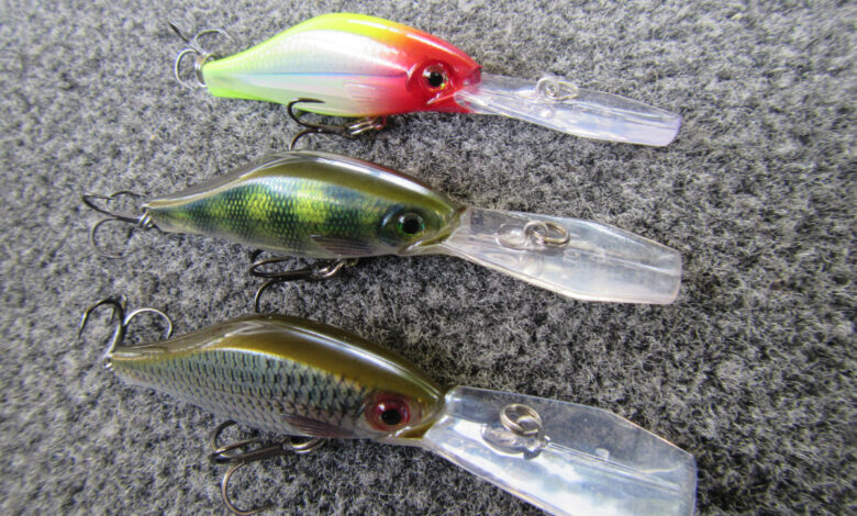 Leurre Shadow Rap Jack Deep de chez Rapala