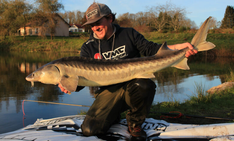 Combat à la grande canne sur de gros poissons