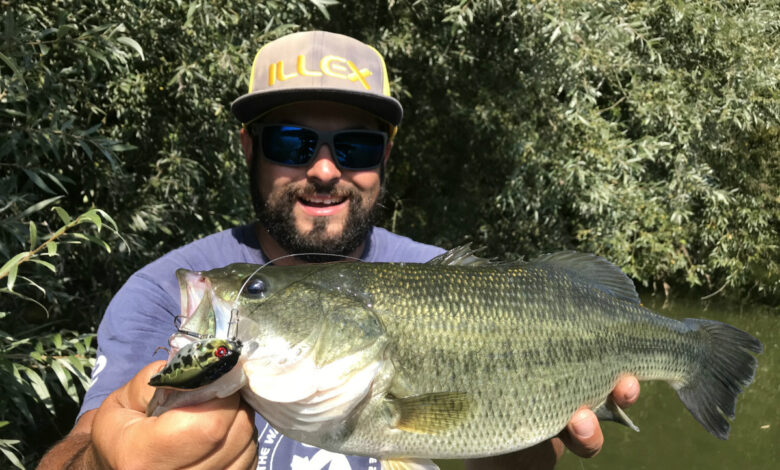 Cannibalisme chez les poissons carnassiers