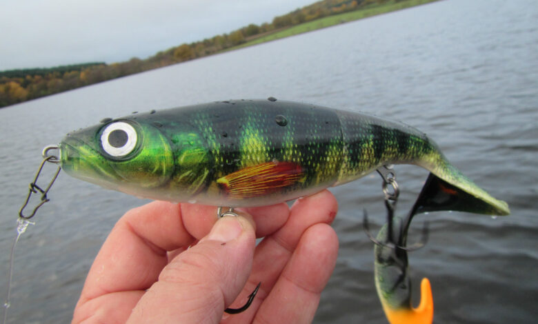 Leurre Rapala X Rap Otus