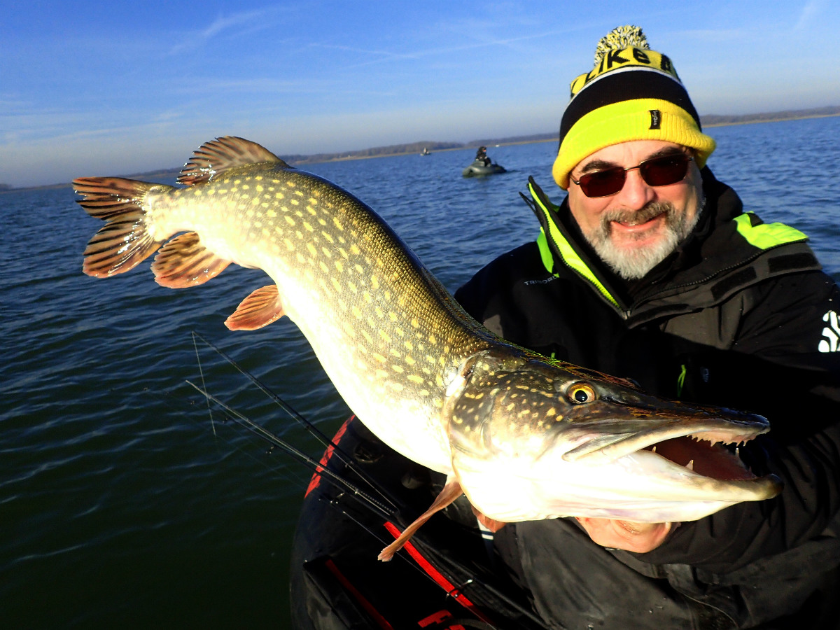 Kit De 5 Chatterbaits Spinnerbaits - Leurres Pêche Carnassier Brochet Perche, Lames Rotatives Attractives