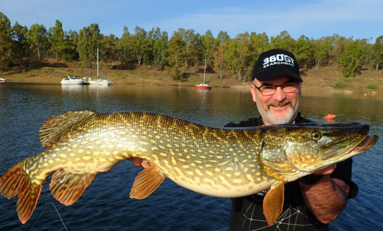 Pêche du brochet à l'ouverture