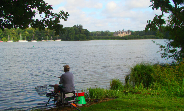 Pêche au coup en fleuve