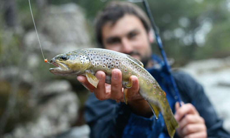 Pêche de la truite au leurre souple