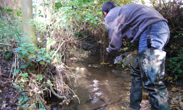 Pêche de la truite à l'ultra léger