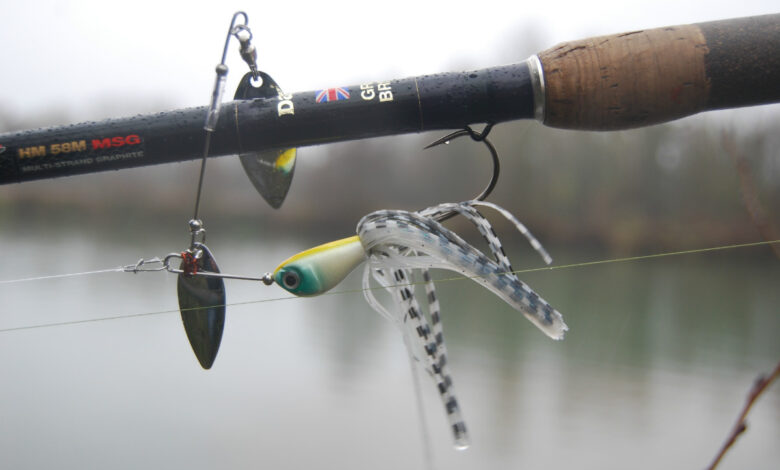 Poste pour pêcher le carnassier du bord