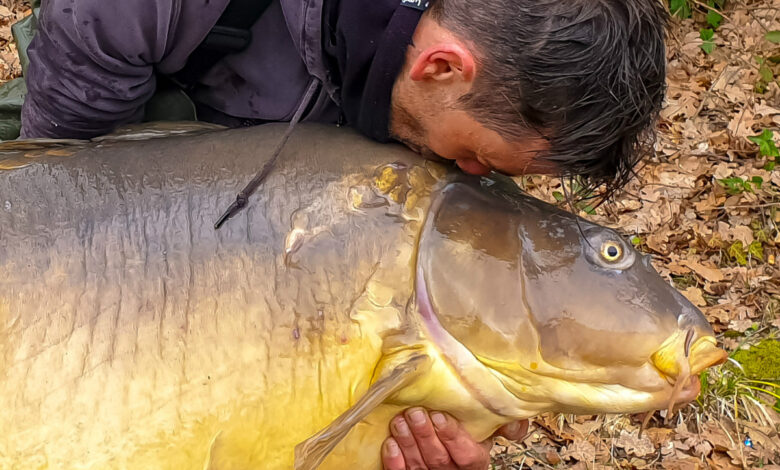 Carpe Record de 38.4kg