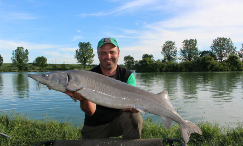 Pêche de l'esturgeon à la grande canne