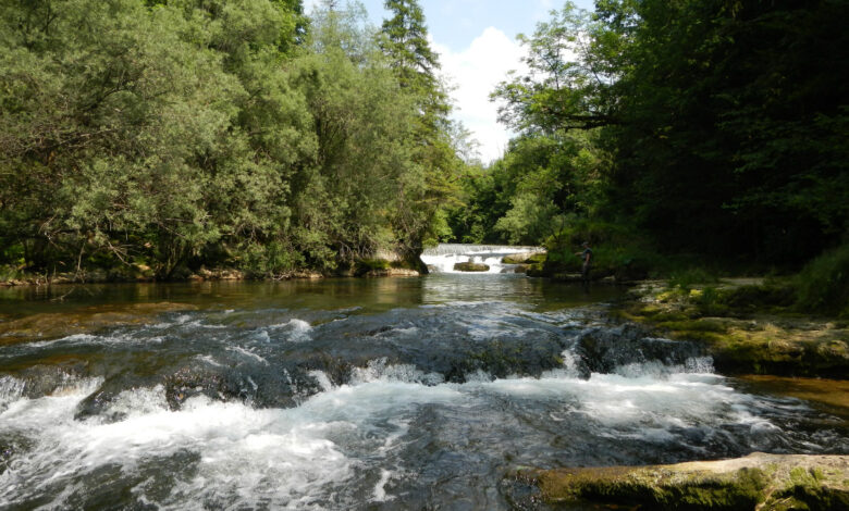 Pêche de la truite à la mouche et au leurre au printemps