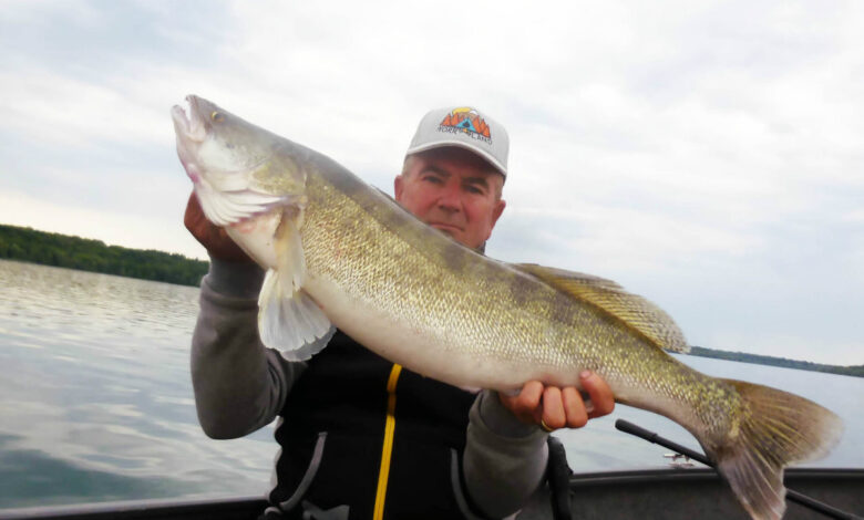 Pêche des carnassiers en verticale casting