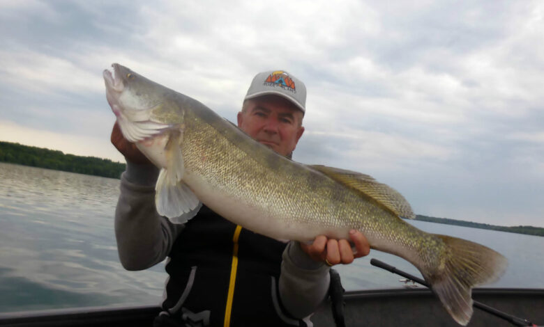 Ferrage des poisson carnassier