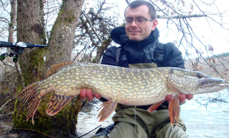 Pêche des carnassiers en février