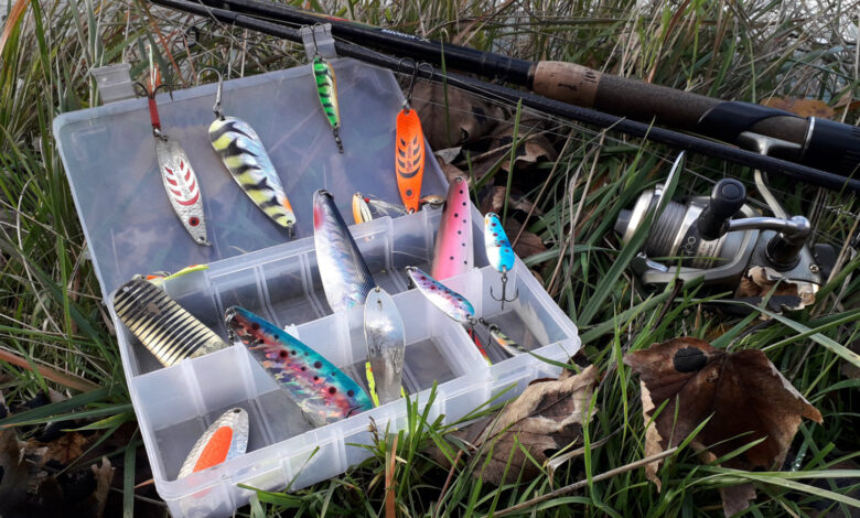 Cuillères ondulantes pour la pêche des carnassiers