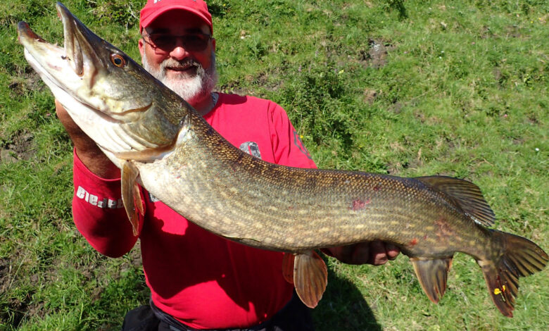 Leurres pour la pêche du brochet