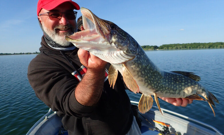 Leurres pour la pêche du brochet