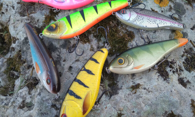 Leurre bruiteur ou silencieux pour la pêche des carnassiers ?