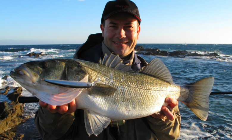 Pêche gros bars en mer Méditerranée