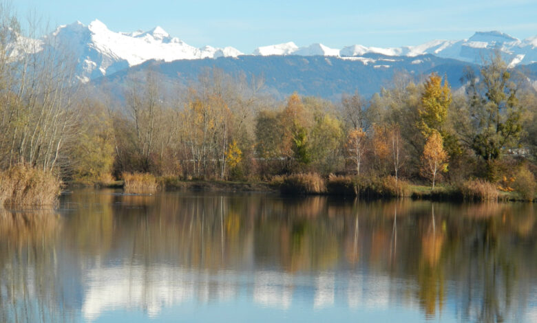 Pêche du brochet en hiver