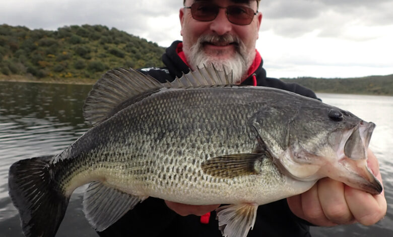 Pêche des carnassiers en Espagne au printemps