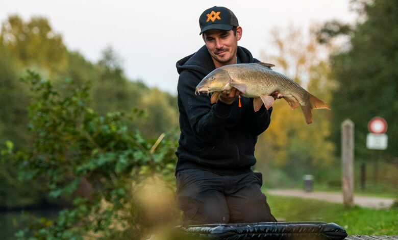 Pêche du barbeau au feeder en rivière