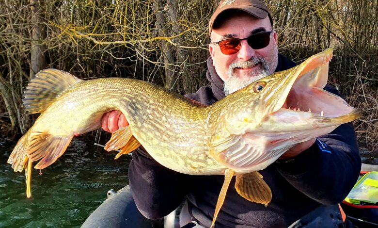 Pêche des carnassiers en début d'hiver.