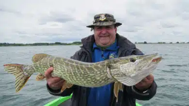 Leurre historique pour la pêche des carnassiers