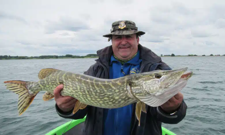 Leurre historique pour la pêche des carnassiers