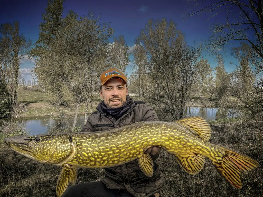 Leurre swimbait pour la pêche des carnassiers