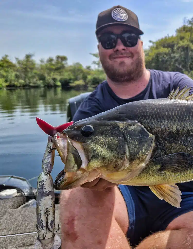 Leurre swimbait pour la pêche des carnassiers