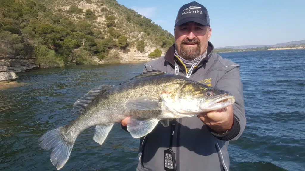 Voyage de pêche à Mequinenza pour le carnassier.