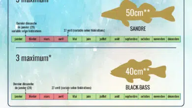 Ouverture et fermeture de la pêche en 2023