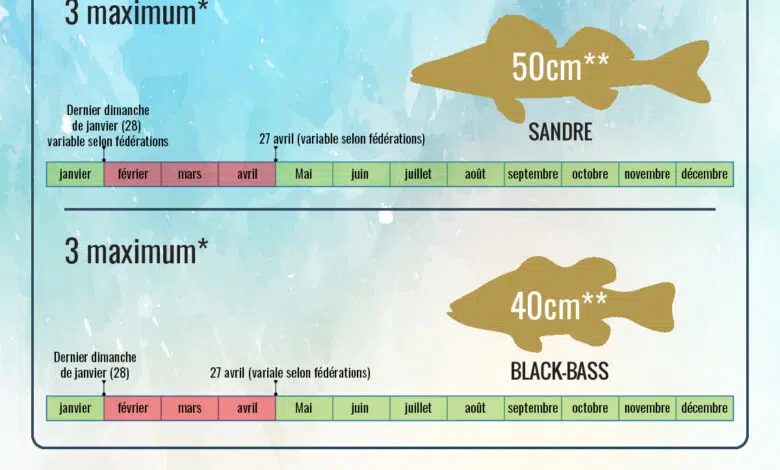 Ouverture et fermeture de la pêche en 2023