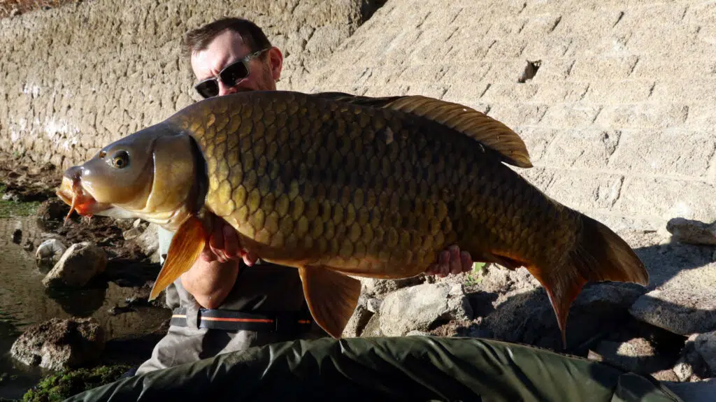 Session carpe bredouille qui termine bien.