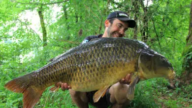 Carpe prise en utilisant du Bogey de chez Kryston.