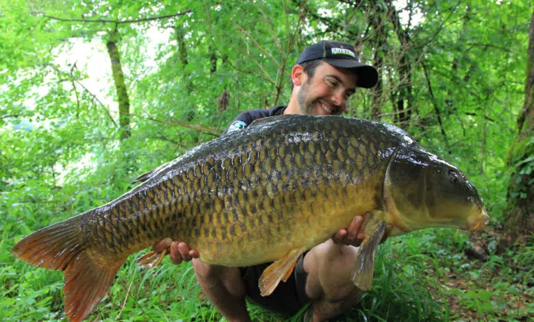 Carpe prise en utilisant du Bogey de chez Kryston.